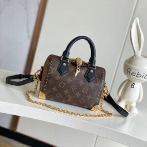 Louis Vuitton Speedy Trunk M13146
