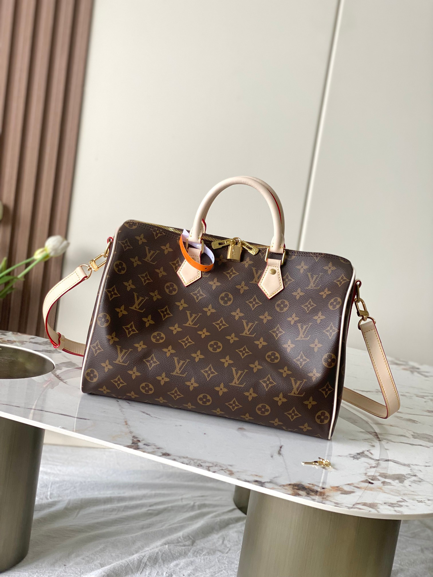 Speedy 35 Handbag in Damier Ebene Canvas