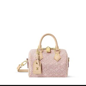Louis Vuitton Speedy Bandoulière 20 Handbag