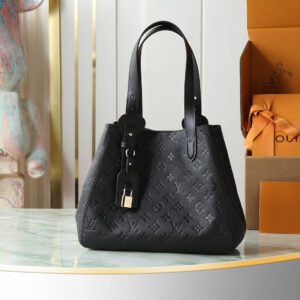 Louis Vuitton M25858 All-In One Small Hobo Tote Bag