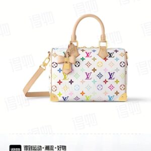 Louis Vuitton Speedy 25 Handbag – White Multicolor