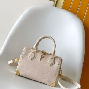 Louis Vuitton Speedy Trunk Handbag