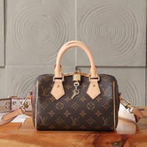 Louis Vuitton Speedy Bandoulière 20 Handbag