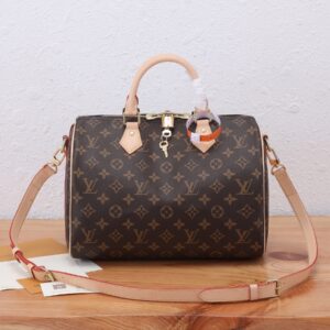 Louis Vuitton Speedy 30 Monogram Handbag
