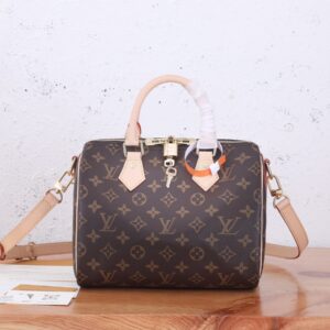Louis Vuitton Speedy 25 Handbag