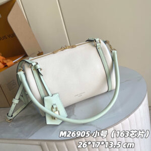 Louis Vuitton Express Small Handbag