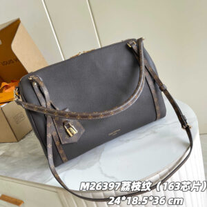 Louis Vuitton Express Medium Handbag M26397