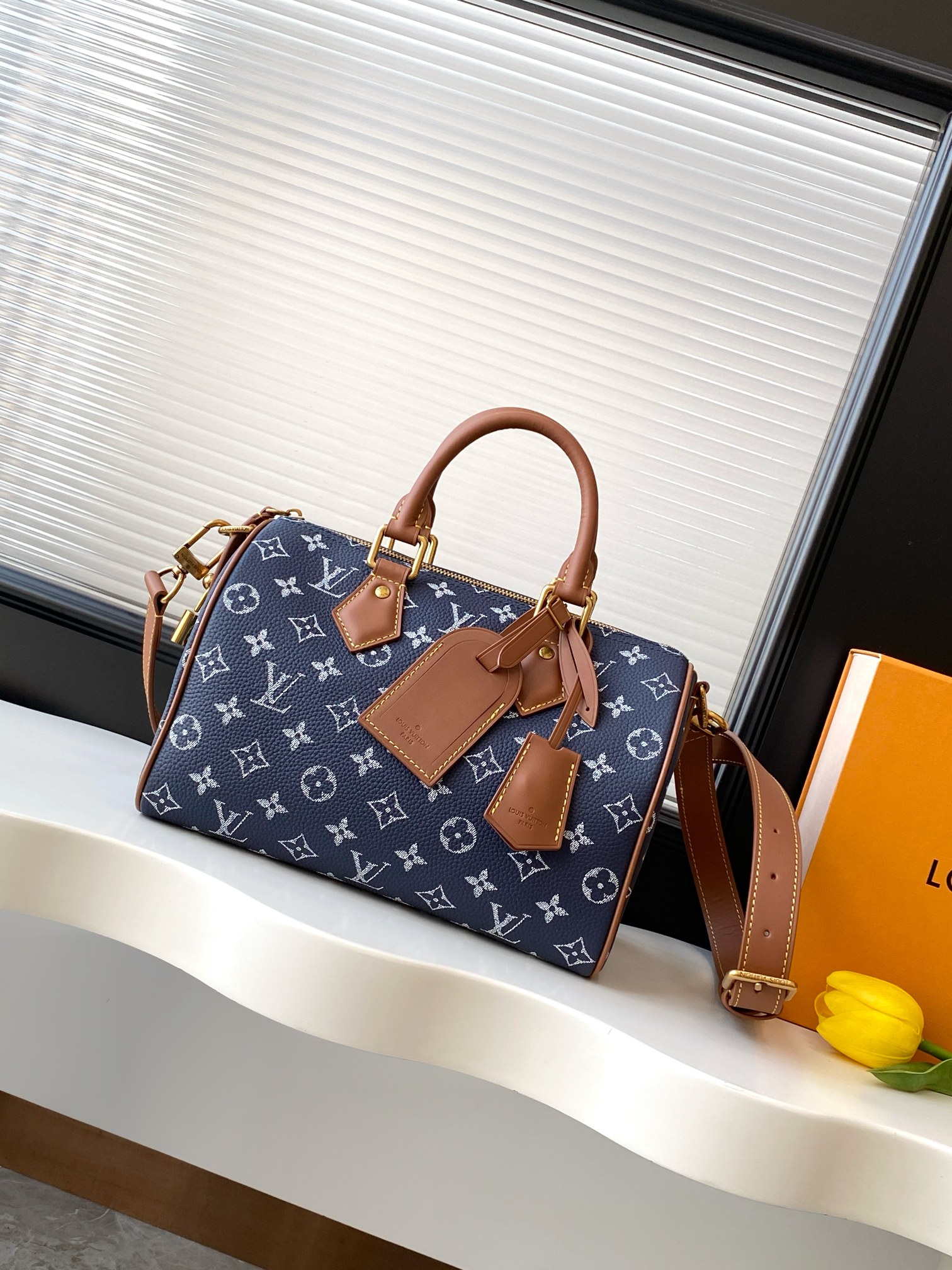 Speedy P9 Bandoulière 25 Monogram Leather Handbag