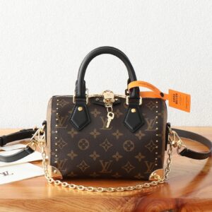 Louis Vuitton Speedy Trunk Handbag