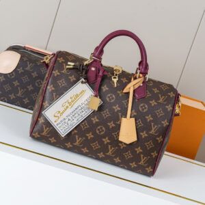 Louis Vuitton Speedy Soft 30 Monogram Anniversary Handbag