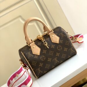 Louis Vuitton Speedy 20 Handbag in Damier Ebene Canvas