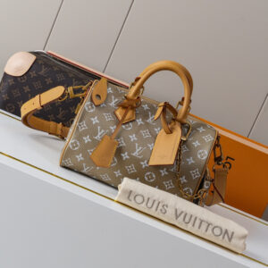 Speedy Bandoulière 25 Monogram Leather Handbag
