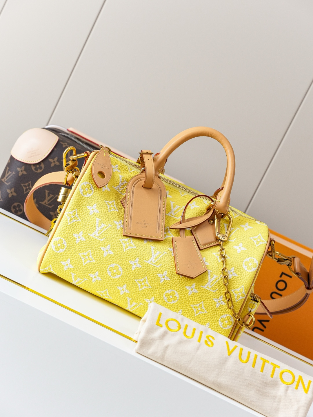 Speedy Bandoulière 25 Monogram Leather Handbag