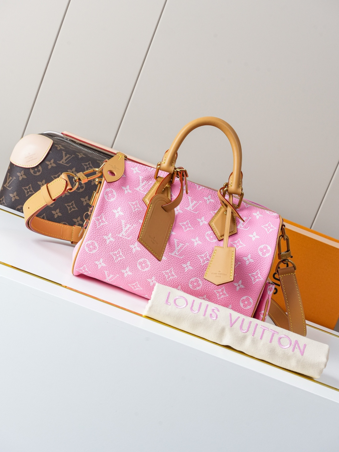 Speedy Bandoulière 25 Monogram Leather Handbag
