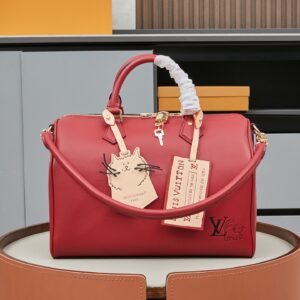 Louis Vuitton Speedy Soft 30 Boho Handbag