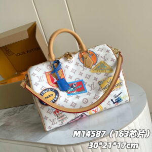 Louis Vuitton Speedy Soft 30 Handbag in Monogram Dune