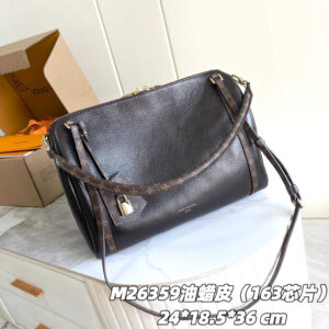 Louis Vuitton Express Medium Handbag M26359
