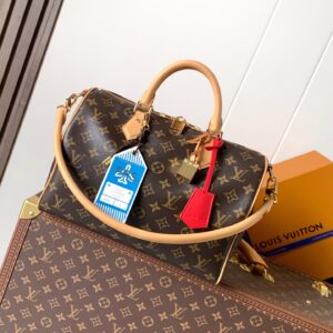 Louis Vuitton Speedy Soft 30 Handbag from the Paris À Vélo Collection