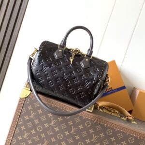Louis Vuitton Speedy Trunk 25 Handbag