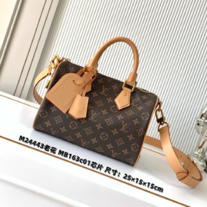 Louis Vuitton Speedy Bandoulière 25 Handbag