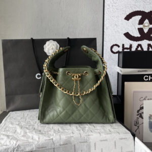 Chanel Quilted Leather Hobo Shoulder Bag AS5293