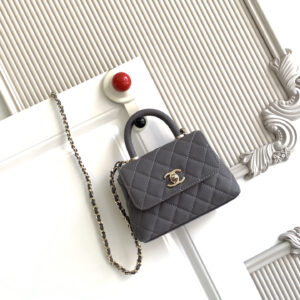 Chanel Coco Handle Classic Top-Handle Handbag AS4244