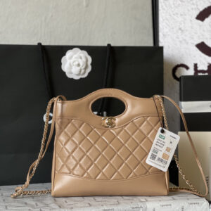 Chanel 23A 31 Bag Mini in Chocolate Brown