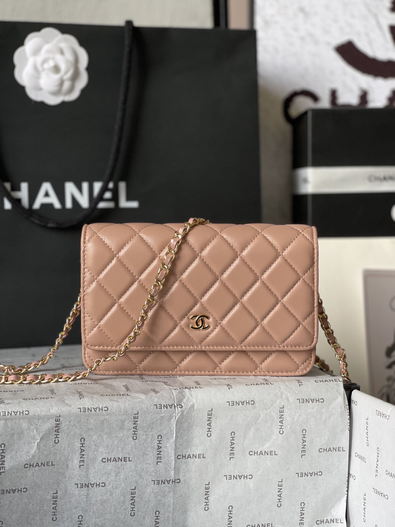 Chanel CF WOC Lambskin Chain Wallet