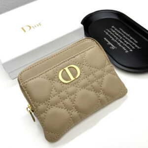 Dior F10 Leather Small Leather Good