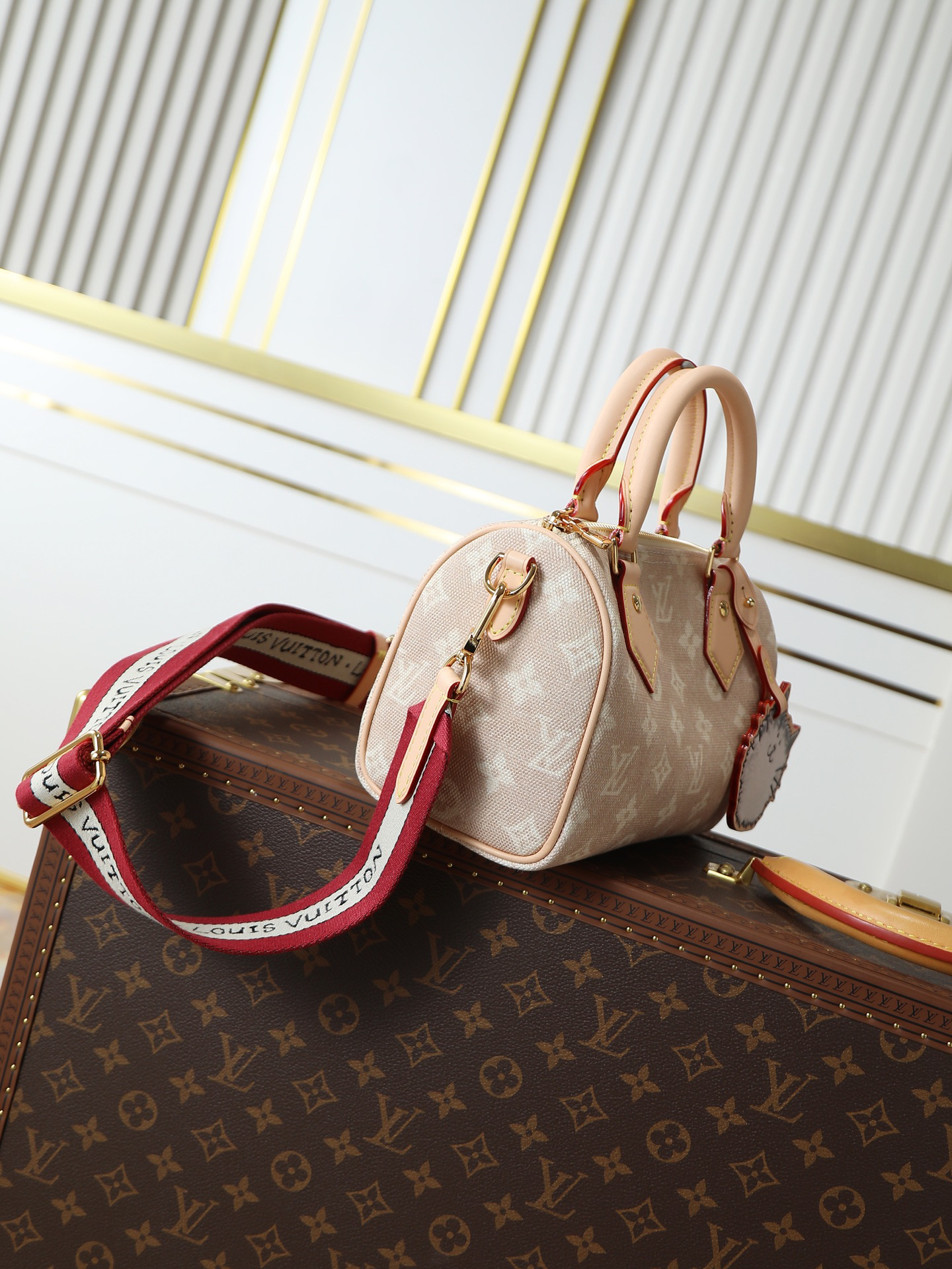 Louis Vuitton Speedy 20 Bandoulière Meowgram Handbag - Image 2