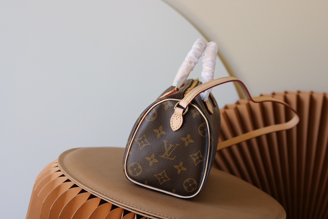Louis Vuitton Nano Speedy Monogram Canvas Crossbody Bag - Image 2