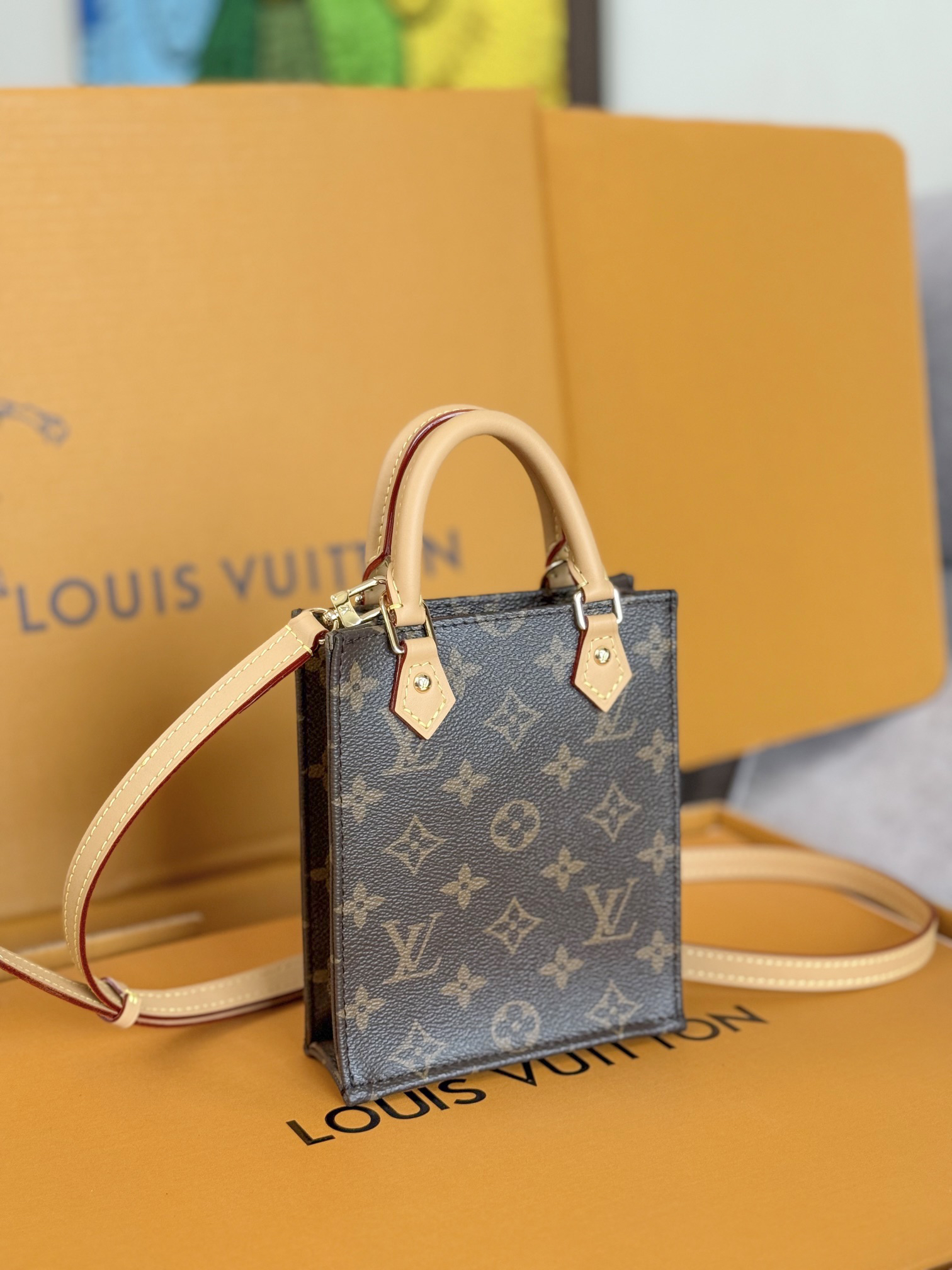 Louis Vuitton Petit Sac Plat Monogram Canvas Bag - Image 2