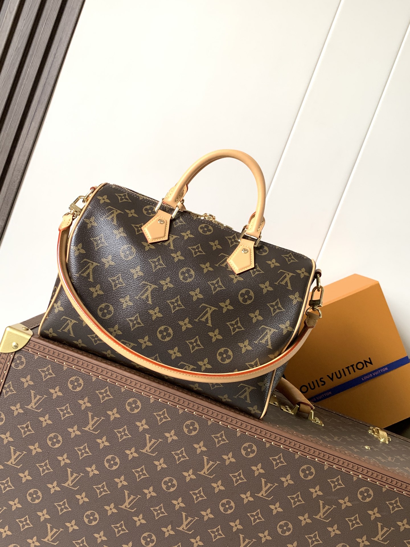 Louis Vuitton Speedy Soft 30 Handbag from the Paris À Vélo Collection - Image 2