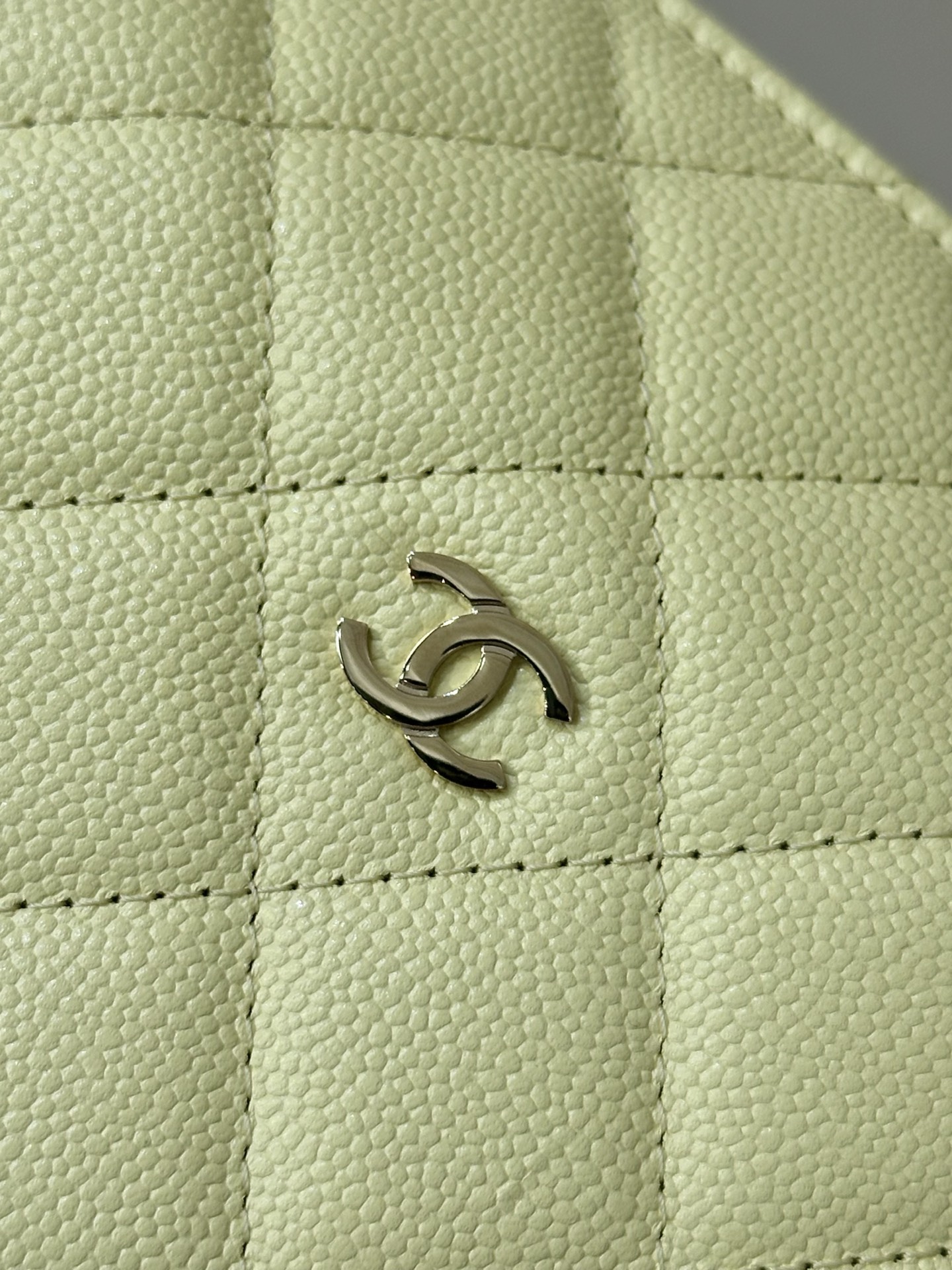 Chanel 26S Spring/Summer Half-Moon Bag - Image 2