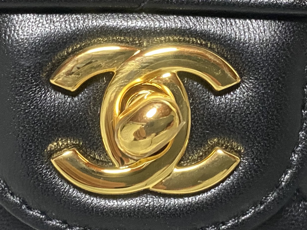CHANEL Limited-Edition Zodiac CF Flap Bag - Image 3