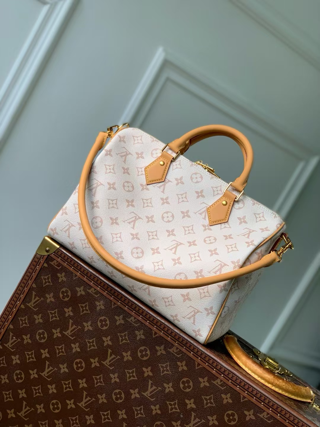 Louis Vuitton Speedy Soft 30 Lucky Handbag in Monogram Dune Canvas - Image 3