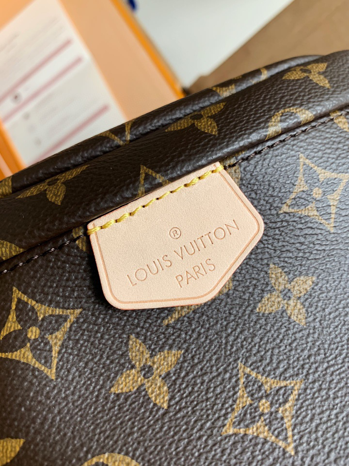 Louis Vuitton Monogram Belt Bag M43644 - Image 3