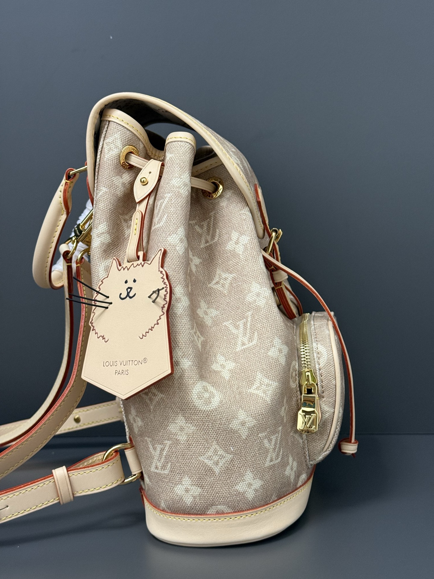 Louis Vuitton Montsouris Small Backpack – Meowgram - Image 3