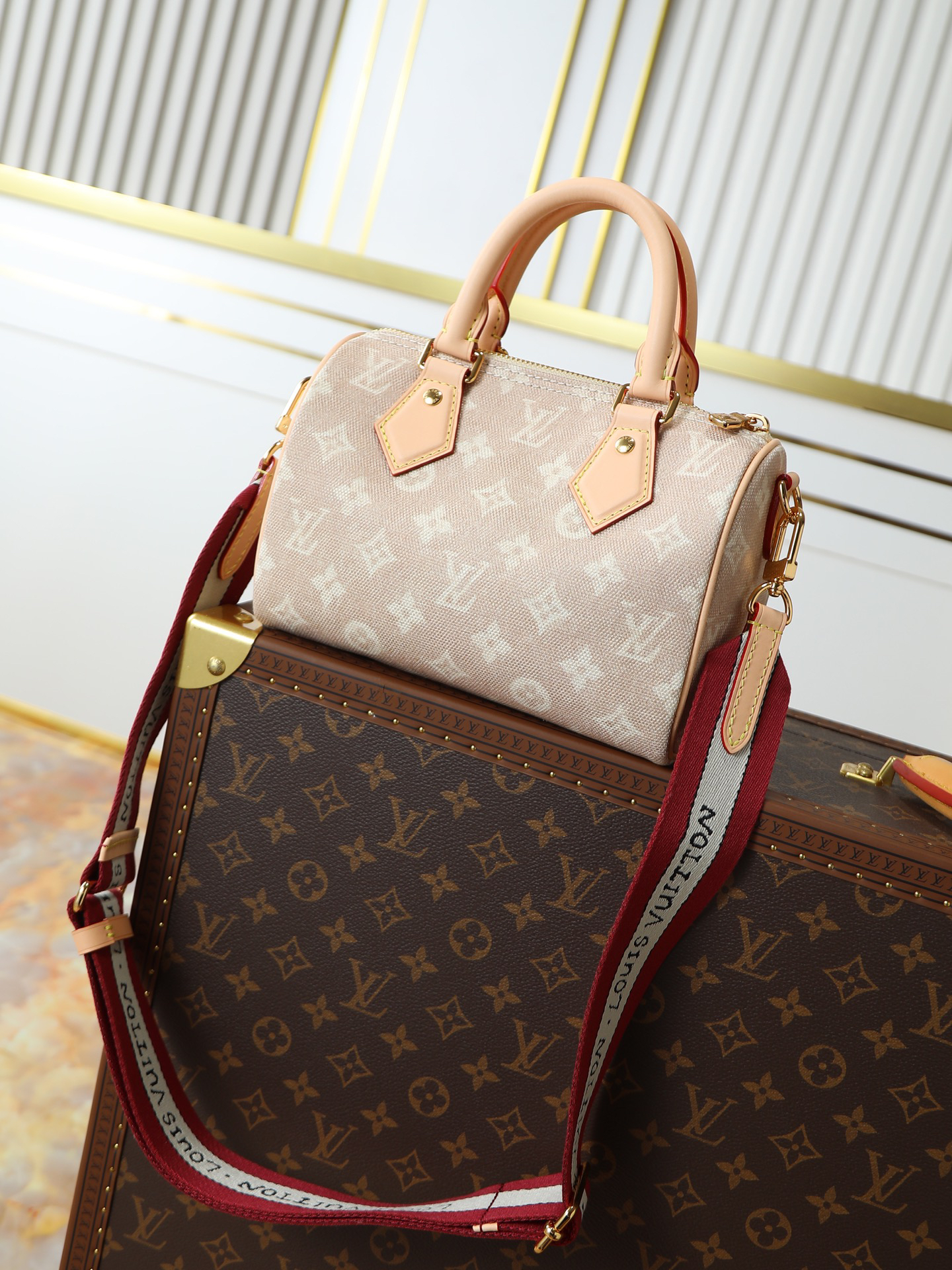 Louis Vuitton Speedy 20 Bandoulière Meowgram Handbag - Image 3