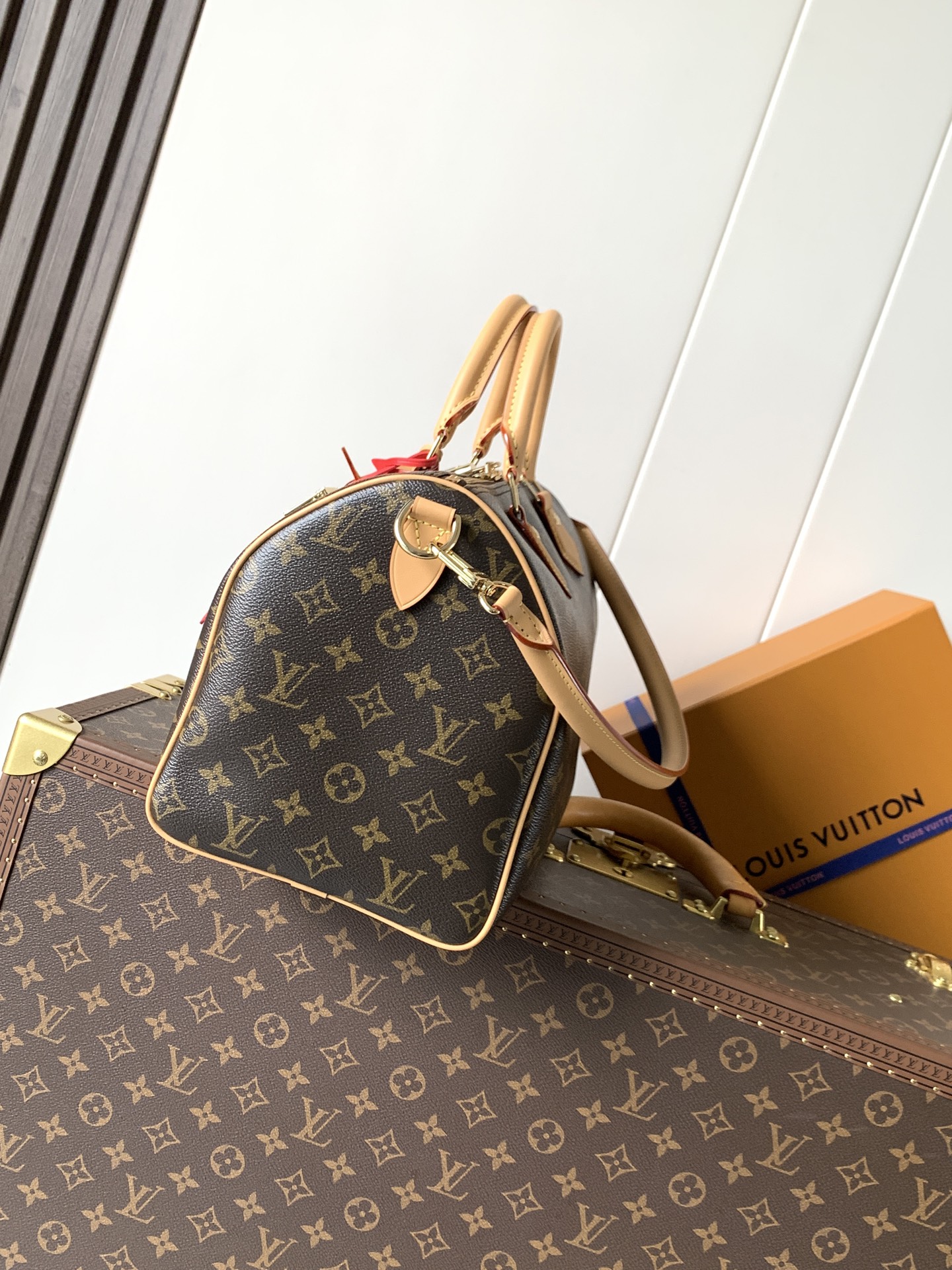 Louis Vuitton Speedy Soft 30 Handbag from the Paris À Vélo Collection - Image 3