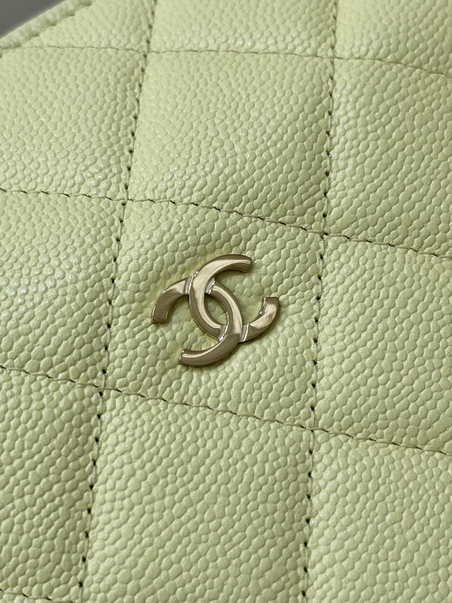 Chanel 26S Spring/Summer Half-Moon Bag - Image 3