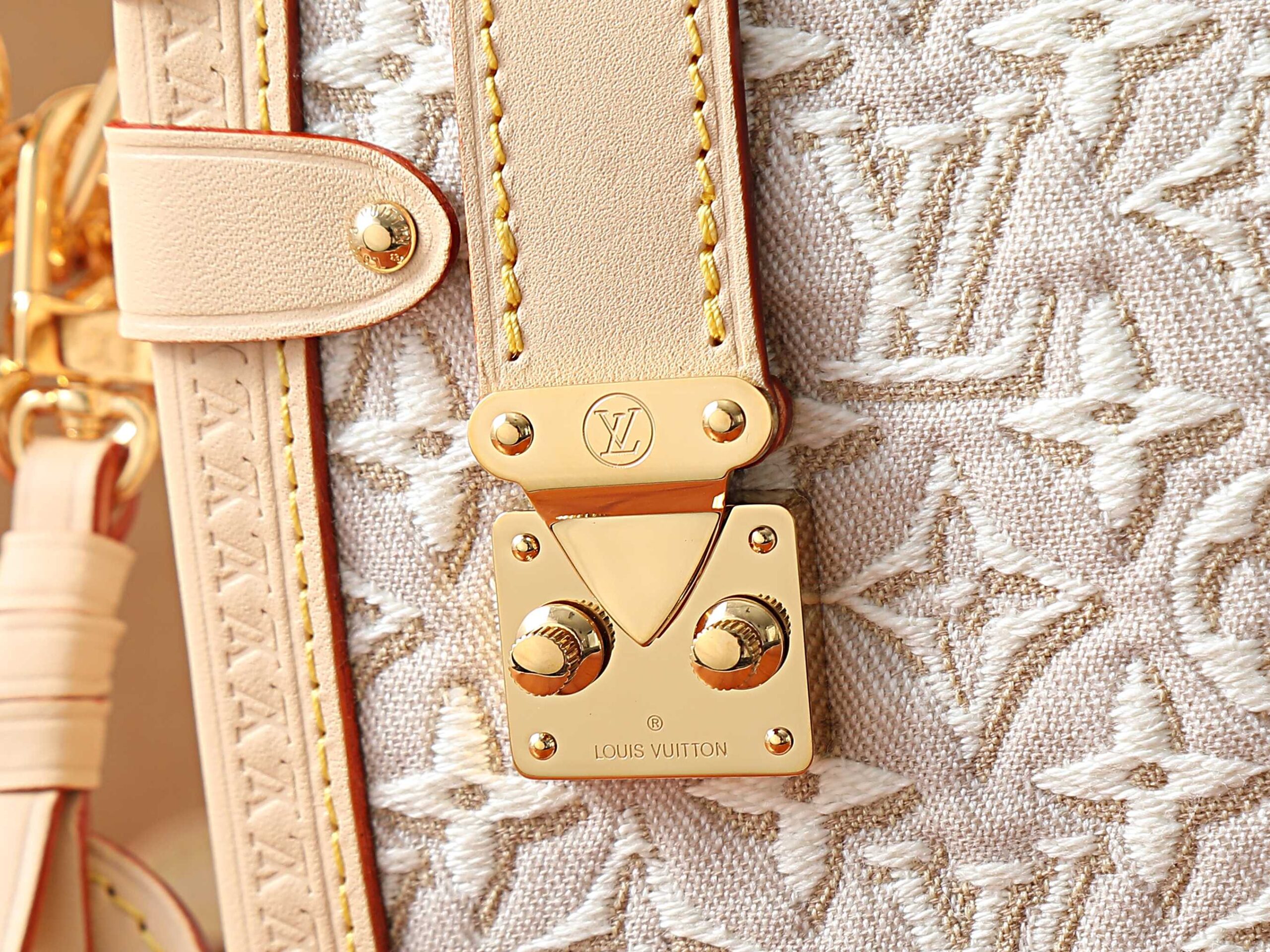 Louis Vuitton Side Trunk Medium Handbag in Monogram Emblème Canvas - Image 4