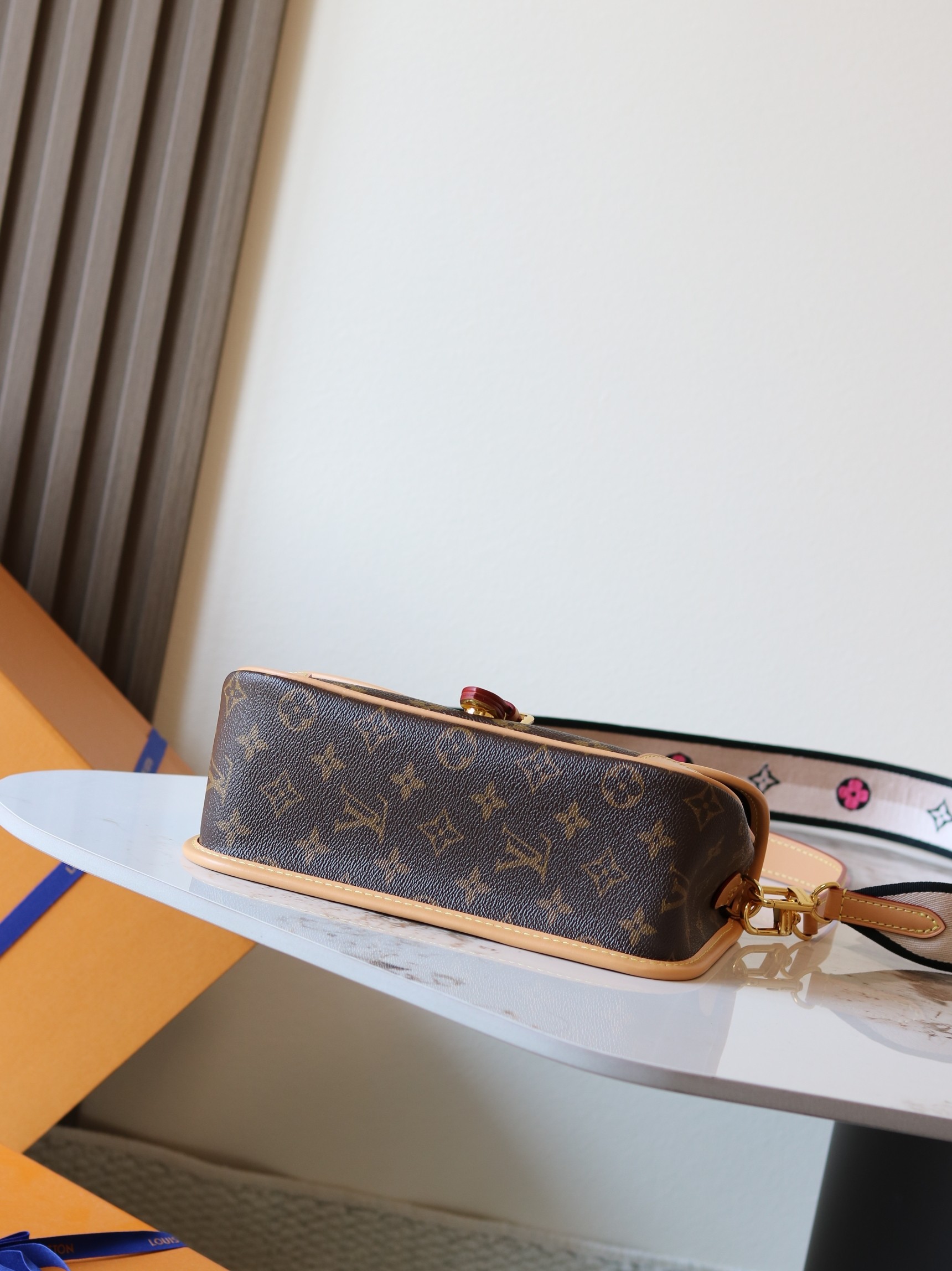 Louis Vuitton Diane Monogram Crossbody Bag - Image 4