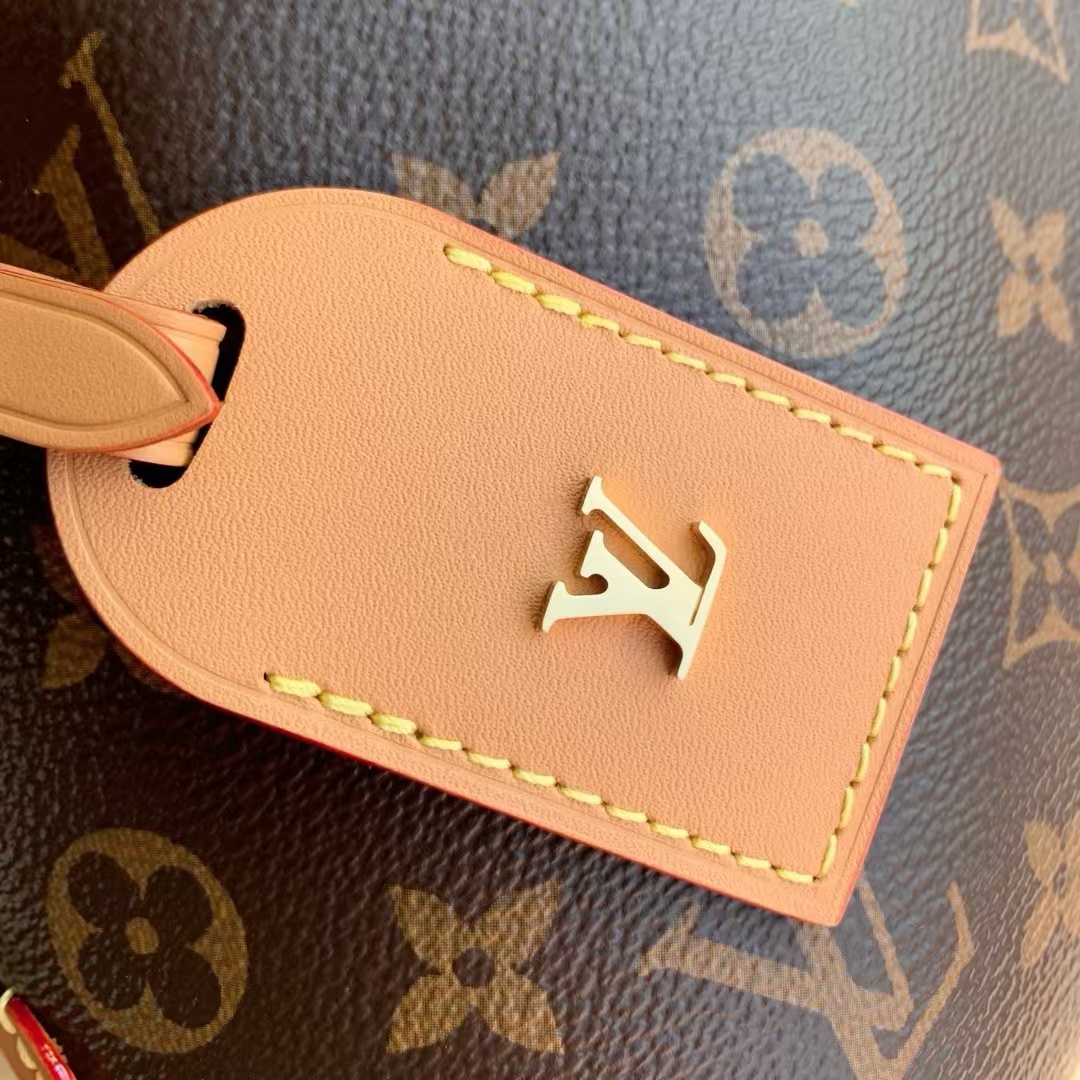 Louis Vuitton CarryAll BB Monogram Handbag - Image 4