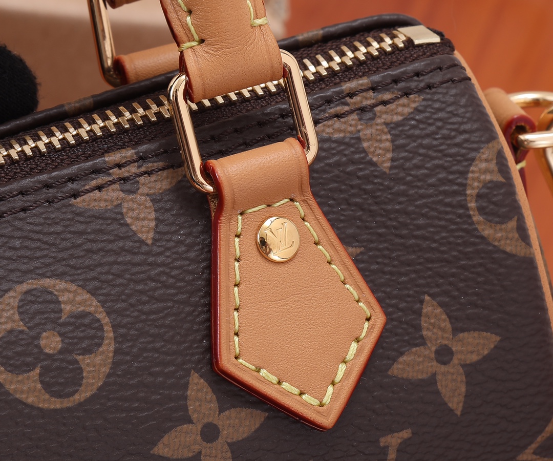 Louis Vuitton Nano Speedy Monogram Crossbody Bag - Image 4