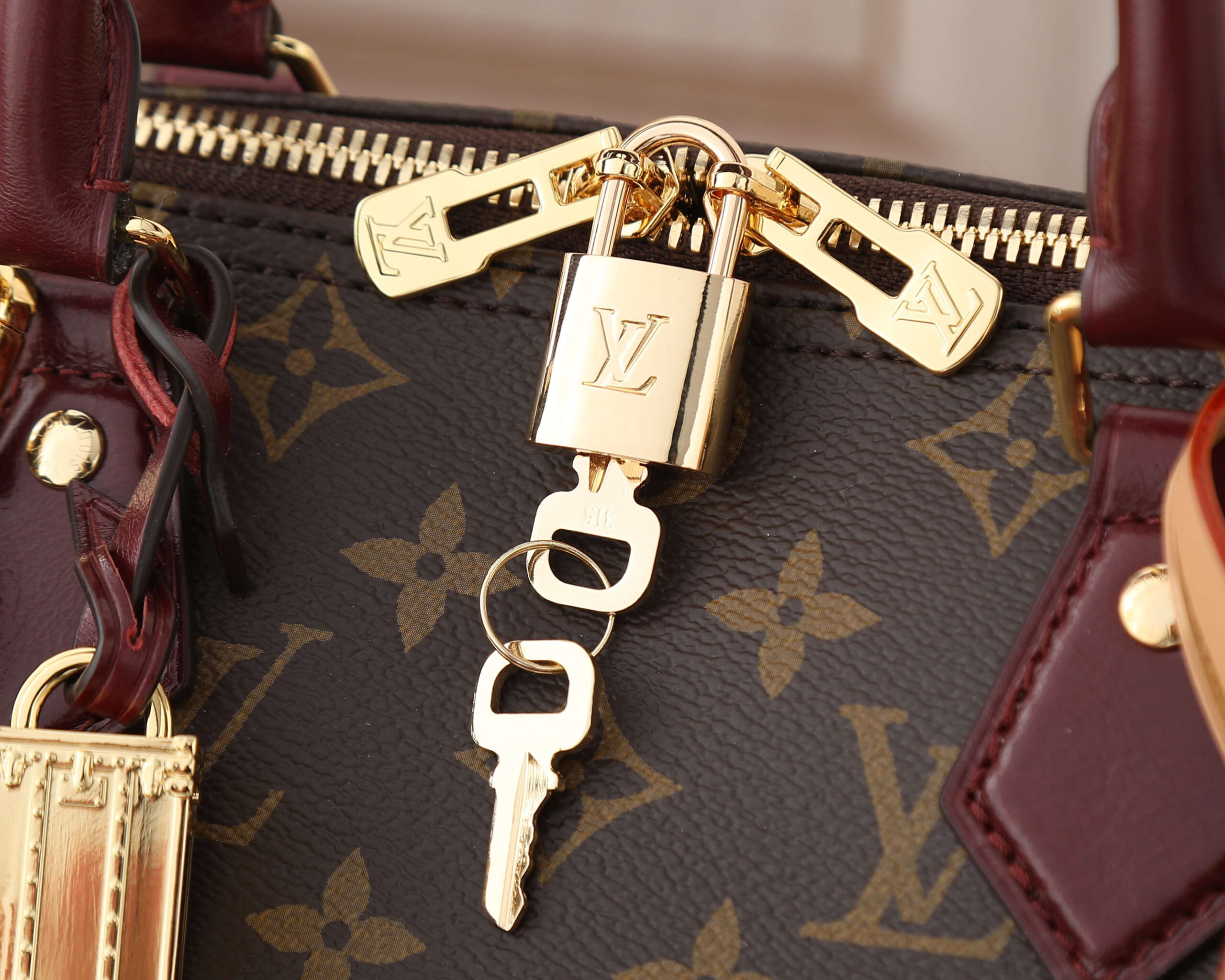 Louis Vuitton Speedy Soft 30 Monogram Anniversary Handbag - Image 4