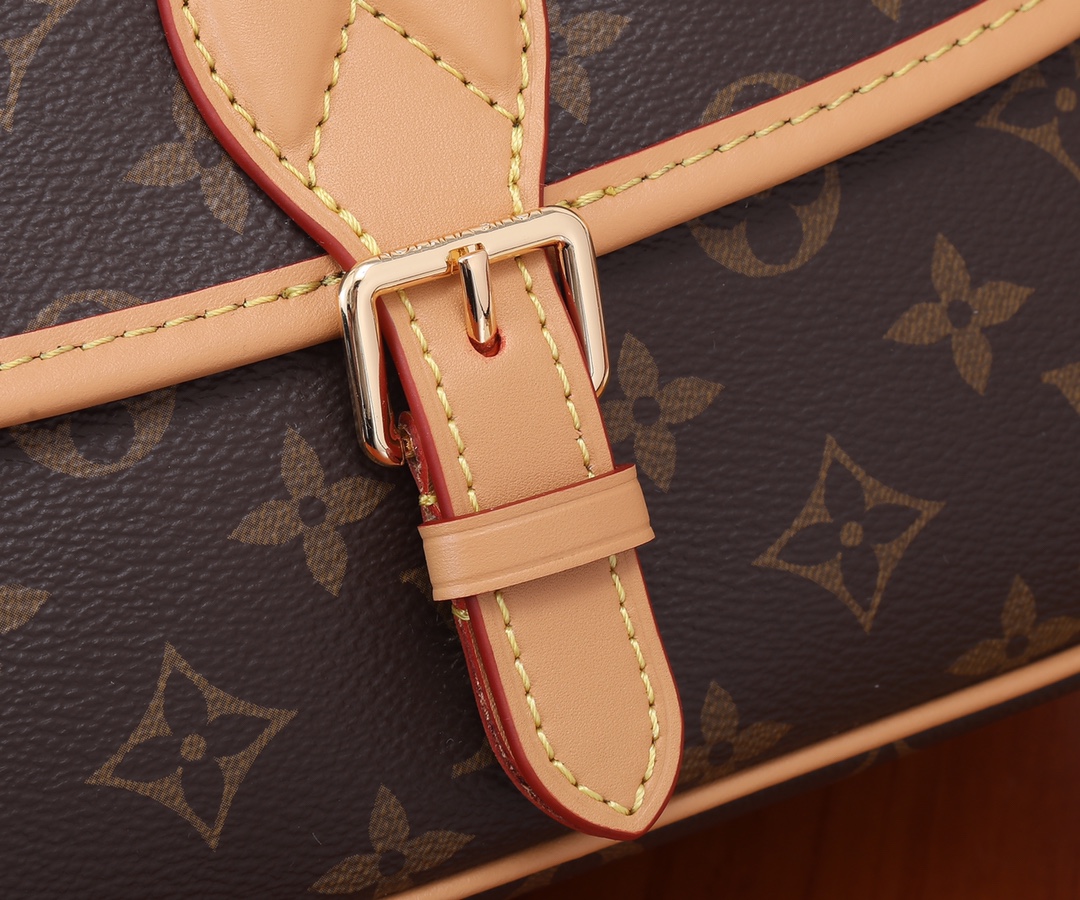 Louis Vuitton Diane Monogram Canvas Shoulder Bag - Image 4