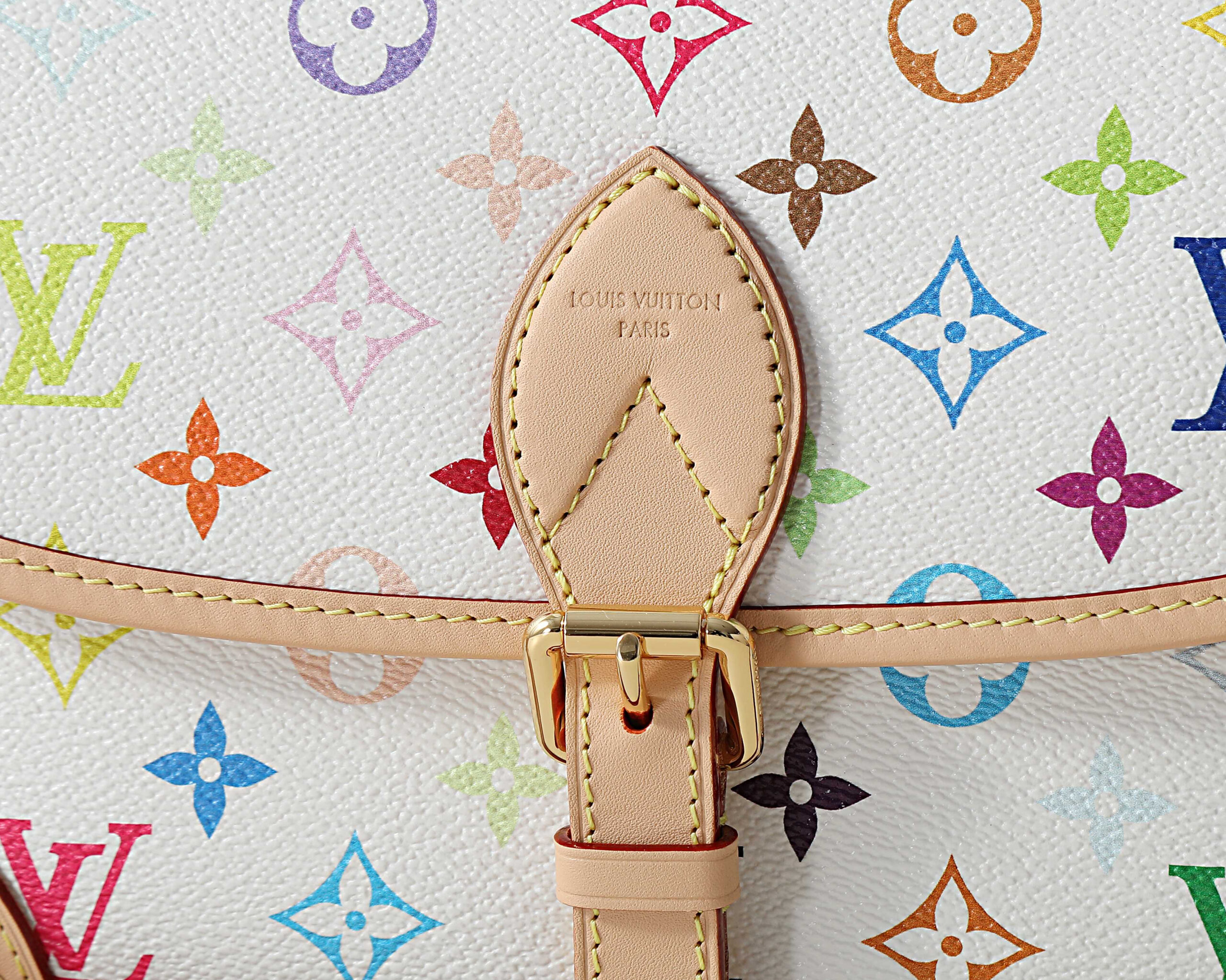 Louis Vuitton Diane Small Crossbody Bag in Monogram Canvas - Image 4