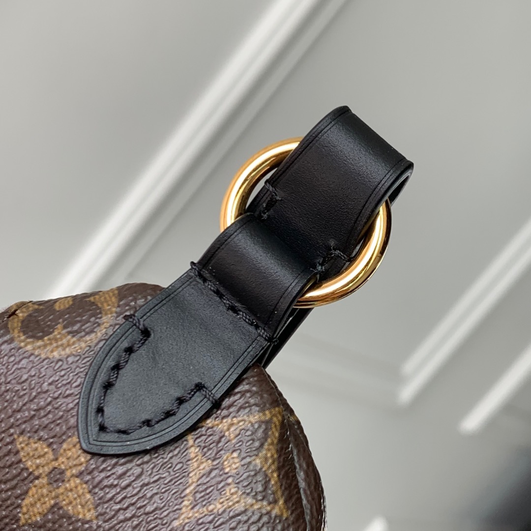 Louis Vuitton Monogram Belt Bag M14806 - Image 4
