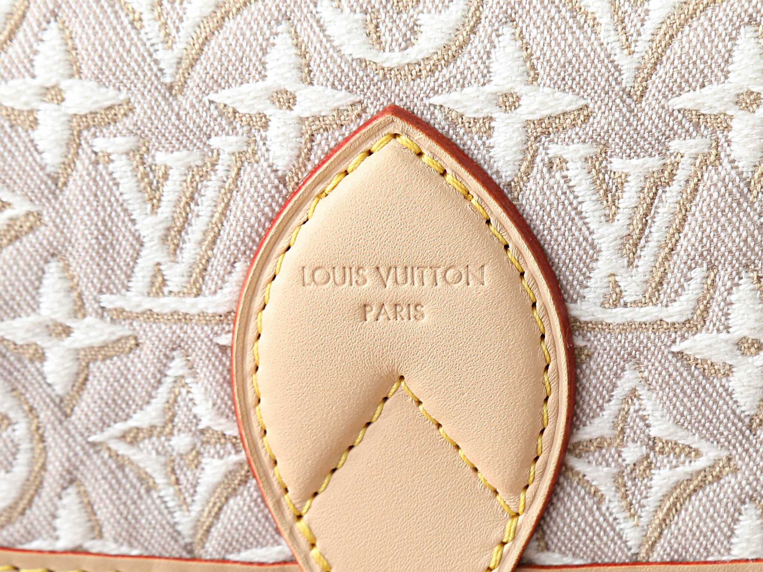 Louis Vuitton Diane Shoulder Bag in Monogram Emblème Jacquard Canvas - Image 4